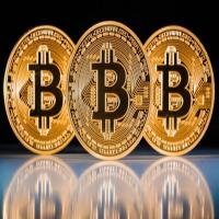تعدين vip